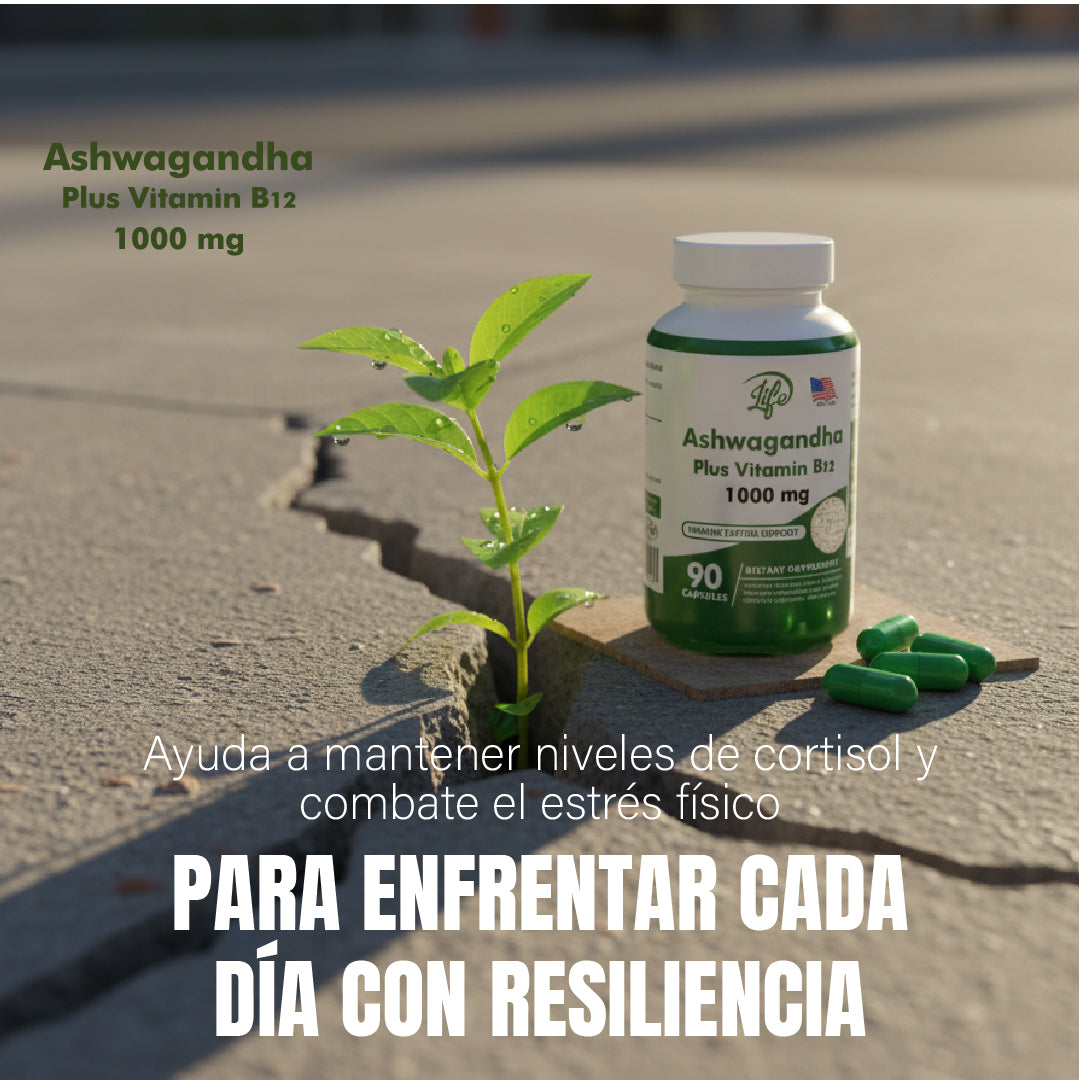 ASHAWAGANDA + B12 X 90 CAPSULAS