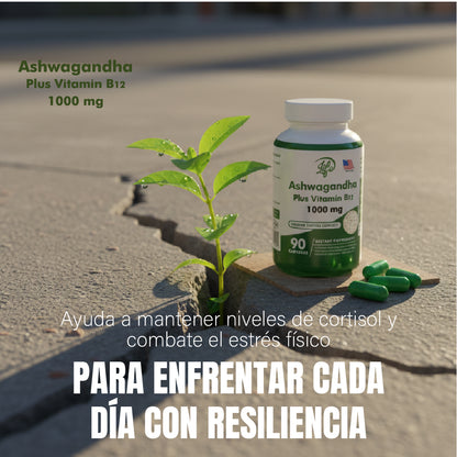 ASHAWAGANDA + B12 X 90 CAPSULAS