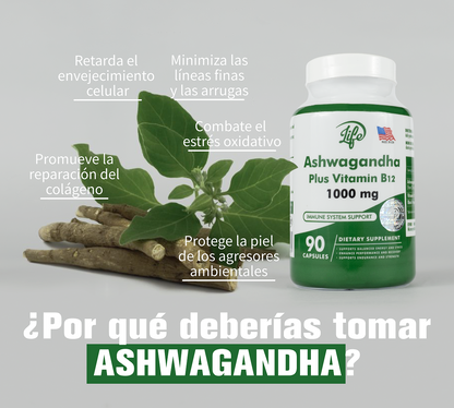 ASHAWAGANDA + B12 X 90 CAPSULAS